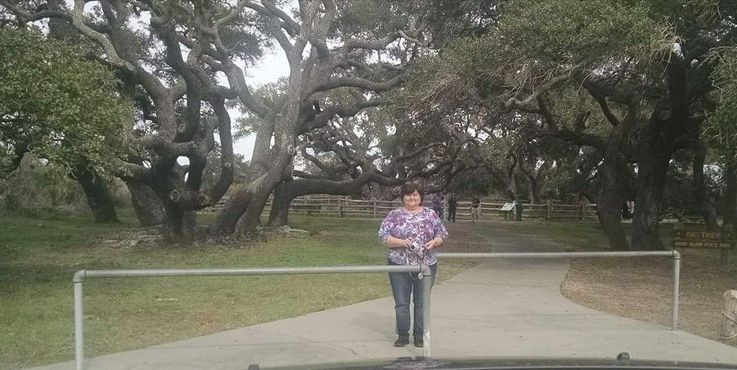 Большое дерево