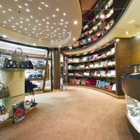 MSC Orchestra (25/36)