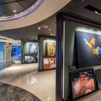 MSC Seashore (10/40)