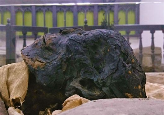 Мумия Та-Куш