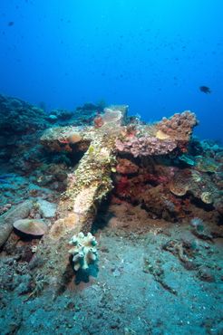 Кладбище в Камигине затонуло во время землетрясения 1871 года - сейчас оно полностью заросло кораллами, а в память о месте под воду был погружен этот крест