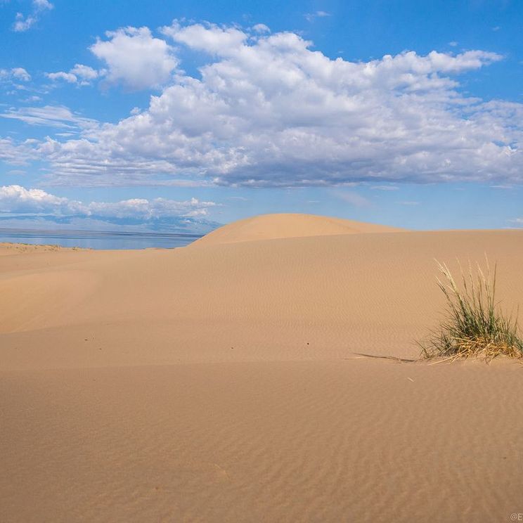 Кемпинги, Отели 3*, Юрты, Палатки