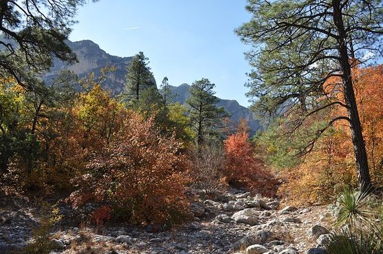 Осенние краски каньона Маккиттрик