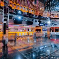 MSC Orchestra (17/36)