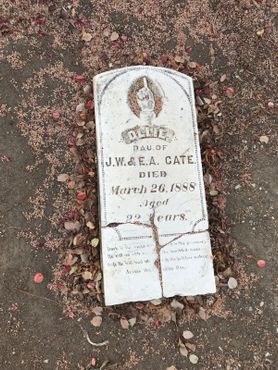 Мемориальный парк Саванны