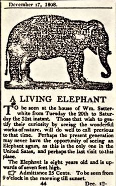 Заметка о Старушке Бет 