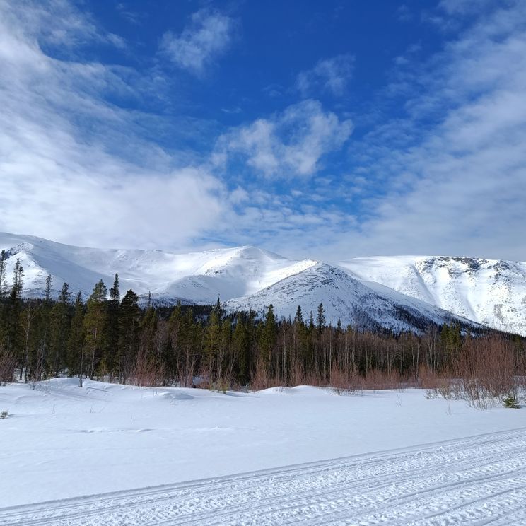 Гостевые домики