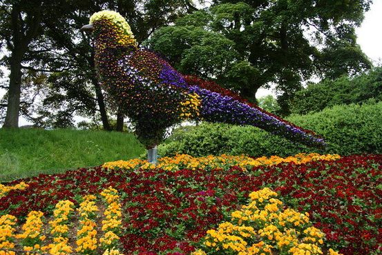Цветочный топиарий в виде птицы