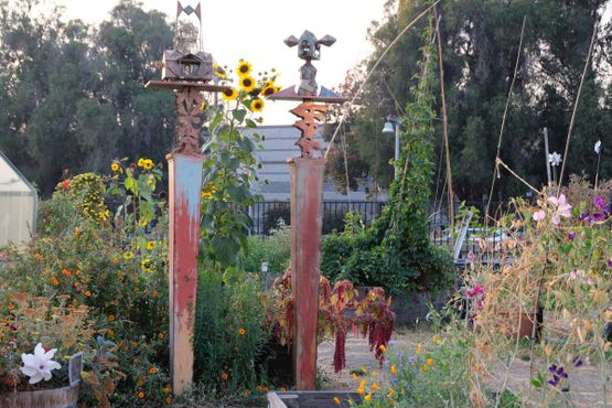 Общественный сад Большого Папочки