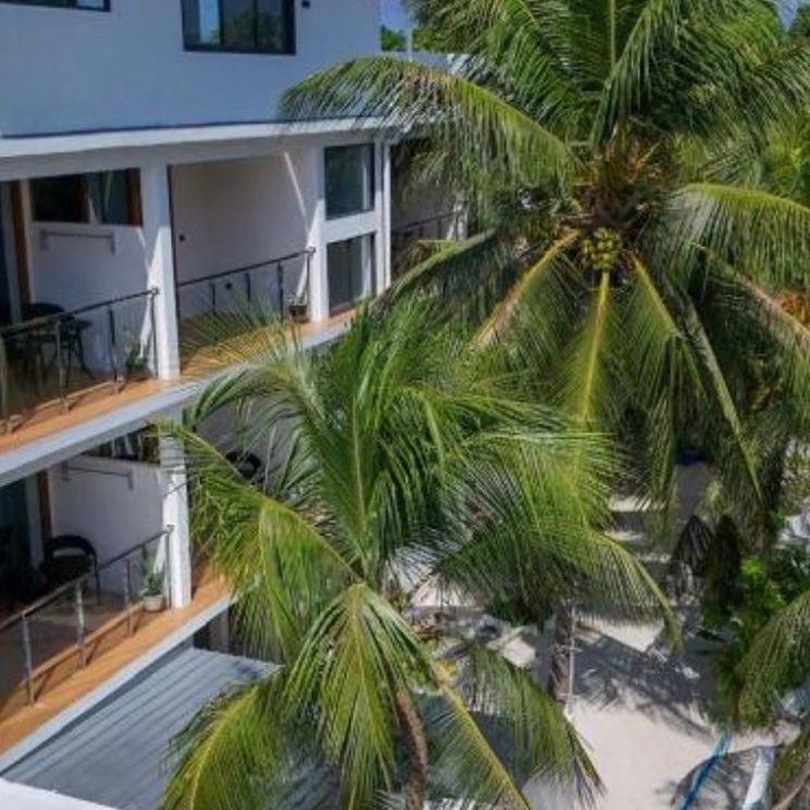 Отели 4*, Отели 5*