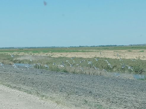 Шайеннская низина