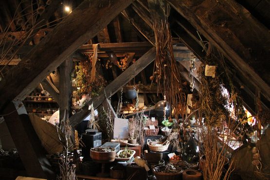 Аптекарский чердак