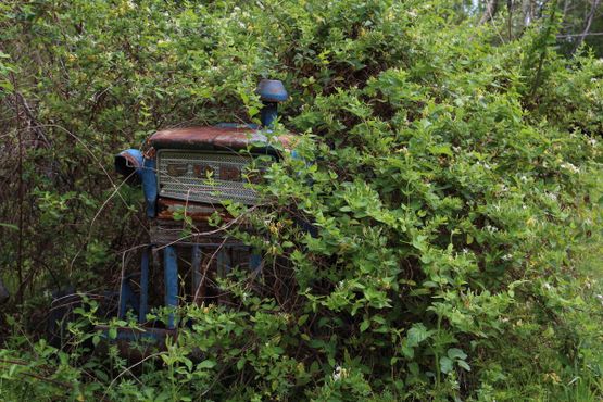 Заросший кустарником трактор