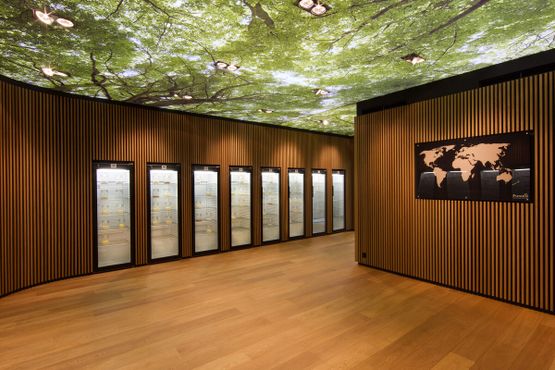 Библиотека заквасок