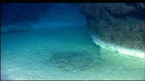 Берег соляного бассейна под Мексиканским заливом