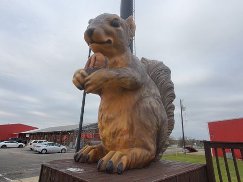 8 марта 2025 г.