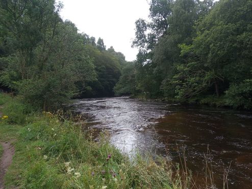 Река Аллан-Уотер