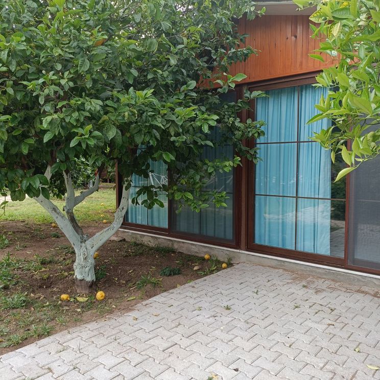 Гостевые домики, Бунгало