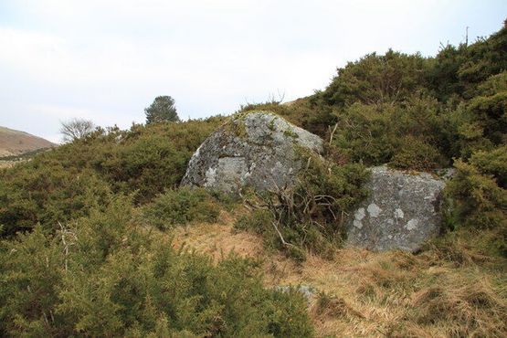 Мемориал Уильяма Донахи