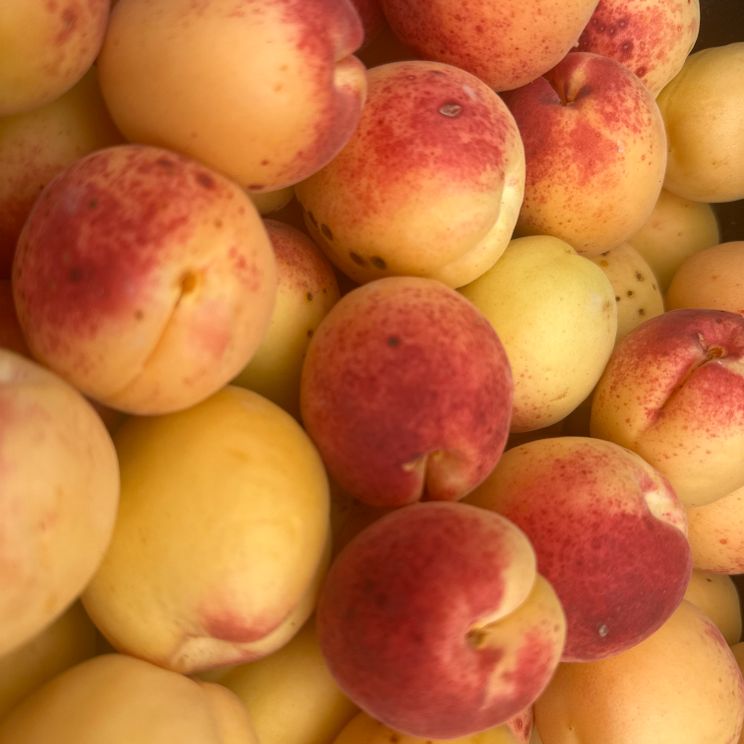 Гостевые домики, Виллы