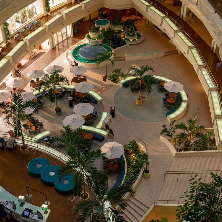 Отели 4*, Отели 5*