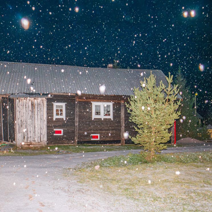 Гостевые домики