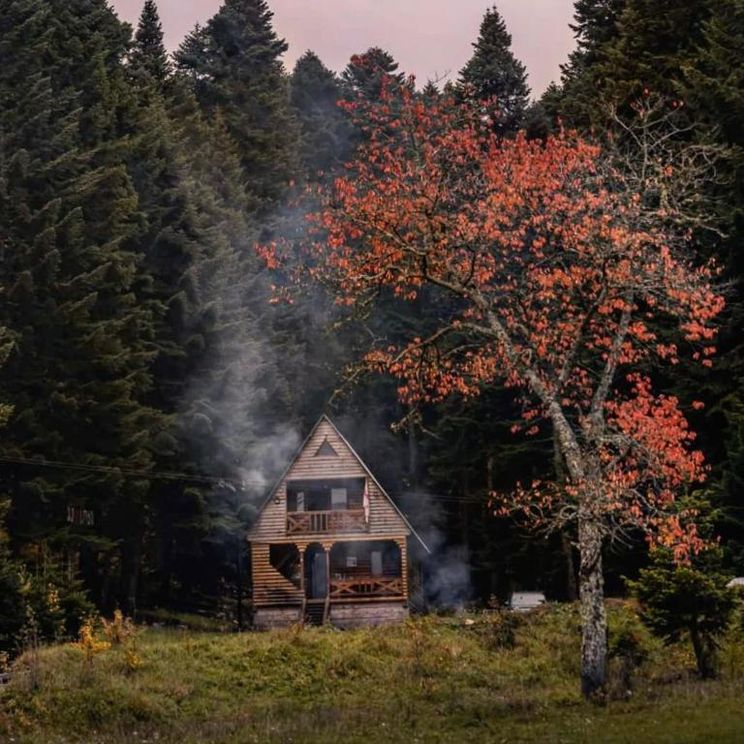 Отели 4*, Глэмпинги, Коттеджи