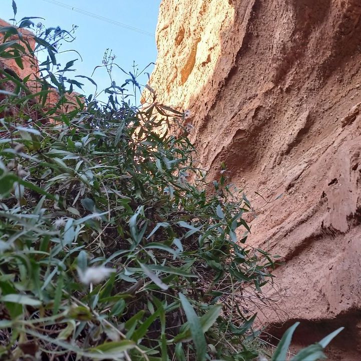 Глэмпинги, Отели 3*, Отели 4*, Юрты