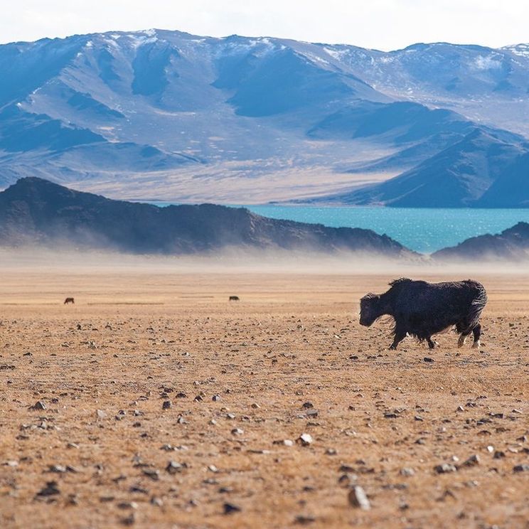 Кемпинги, Отели 3*, Юрты, Палатки