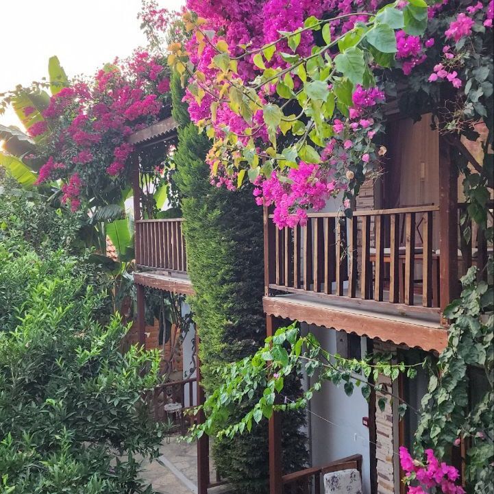 Гостевые домики, Отели 4*, Бутик-отели, Отели 5*