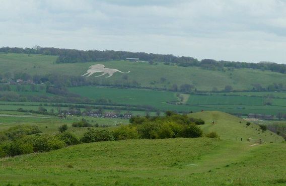 Белый лев, вид с холма Айвинго-Бикон