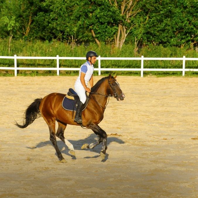 Отели 3*, Отели 4*, Отели 5*