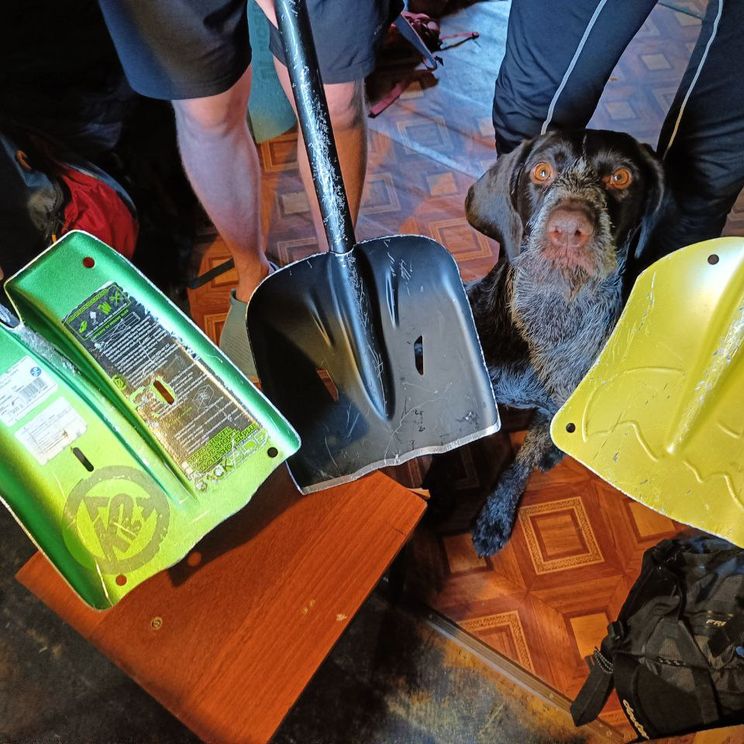 Гостевые домики