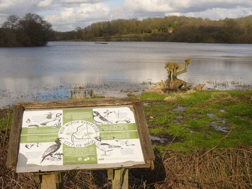 Тропа Гринвичского меридиана, Суссекс