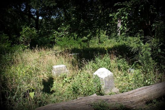 Кладбище Бачелорс-Гроув