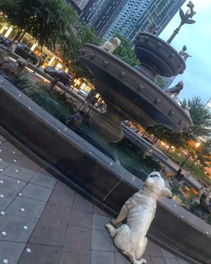 Собачий фонтан в парке Берчи