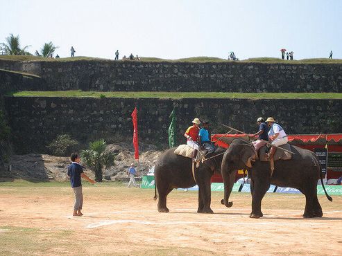 Турнир по поло на Шри-Ланке
