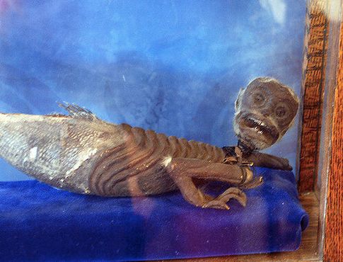 Музей Сванендала