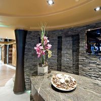 MSC Splendida (26/39)