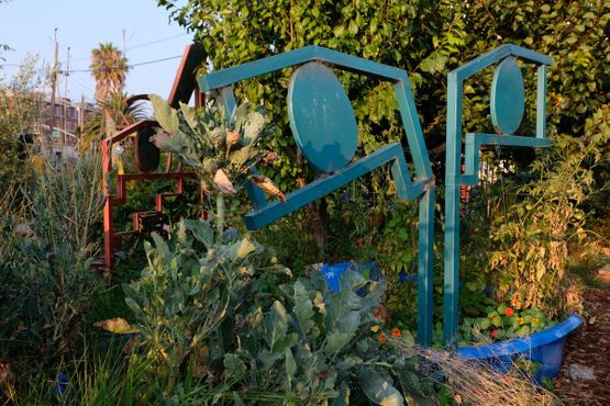 Общественный сад Большого Папочки