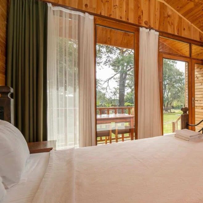 Бутик-отели, Бунгало, Глэмпинги