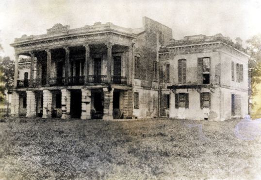Заброшенная плантация в 1894 году