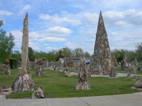 Парк окаменелых деревьев