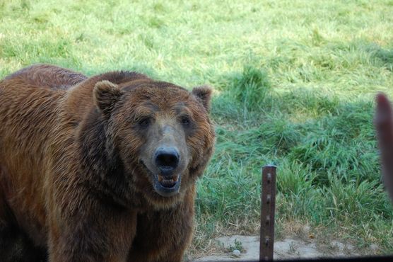 Заповедник «Олимпик-Гейм-Фарм»