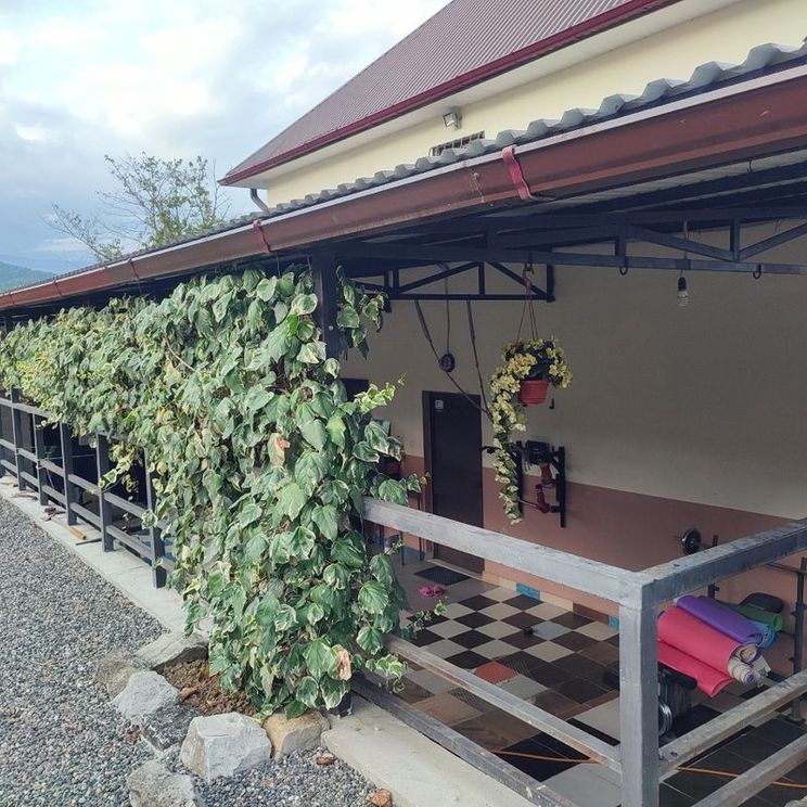 Гостевые домики