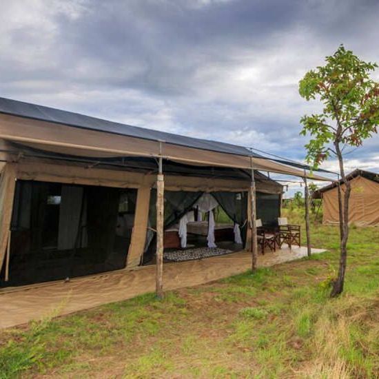 Домик, палатки