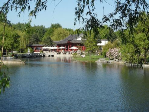 Озеро в Китайском саду