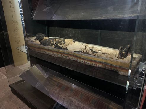 Мумия Та-Куш