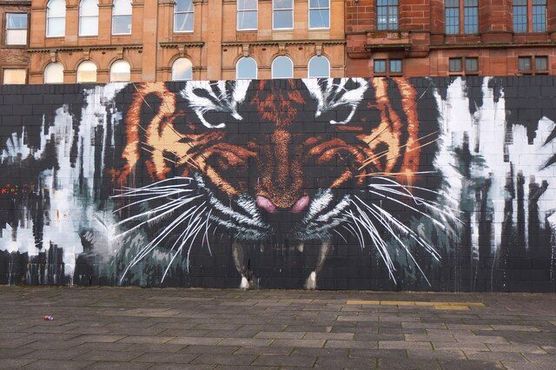 «Тигр» в Глазго 