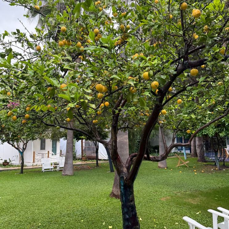 Гостевые домики, Бунгало